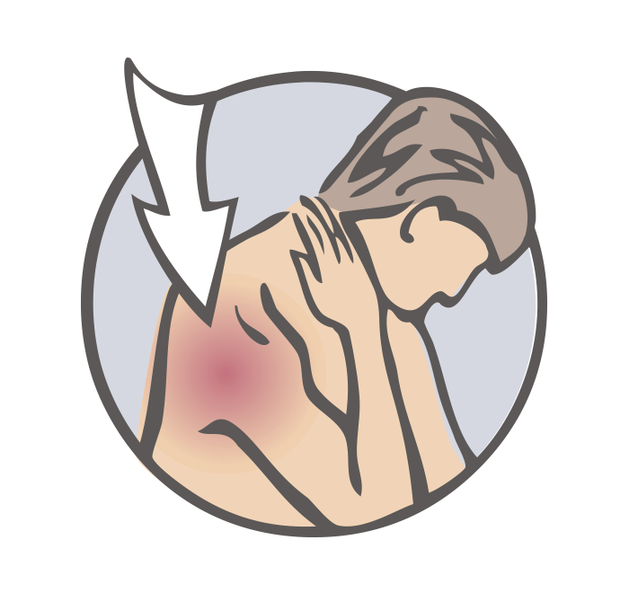 Shoulder and neck
